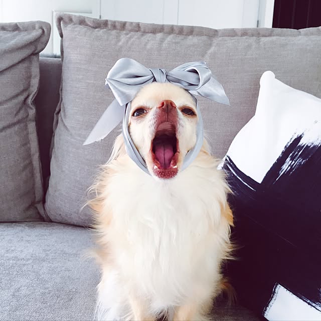 mariさんの実例写真