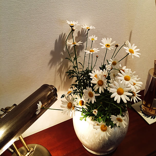 happy-sachiさんの実例写真