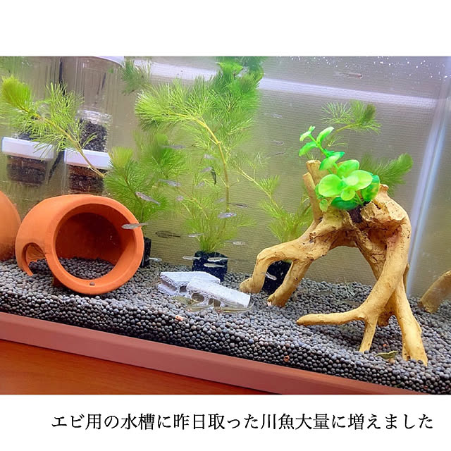chaluさんの実例写真