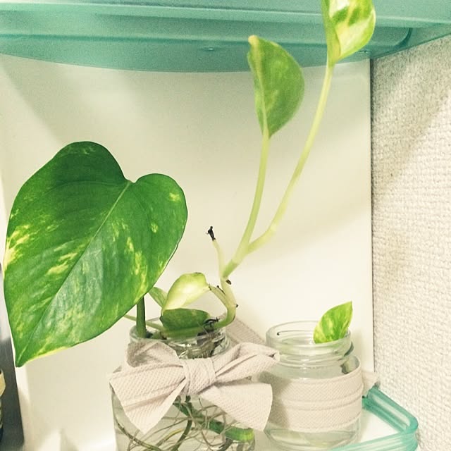 ayumi1028さんの実例写真