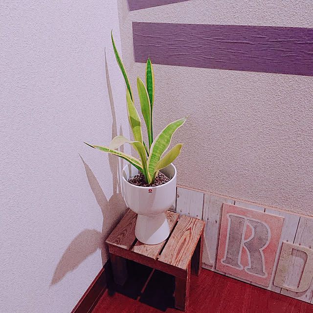 kikiさんの実例写真