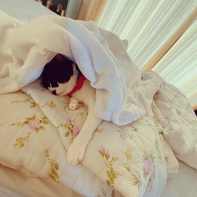 moolさんの実例写真