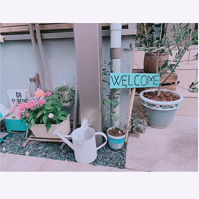 aonagiさんの実例写真