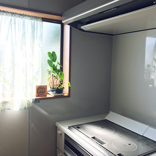 bobb2081さんの実例写真