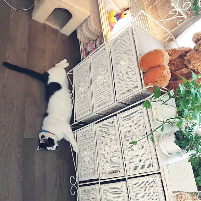 asuminさんの実例写真