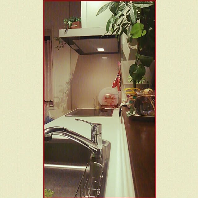Kimikoさんの実例写真