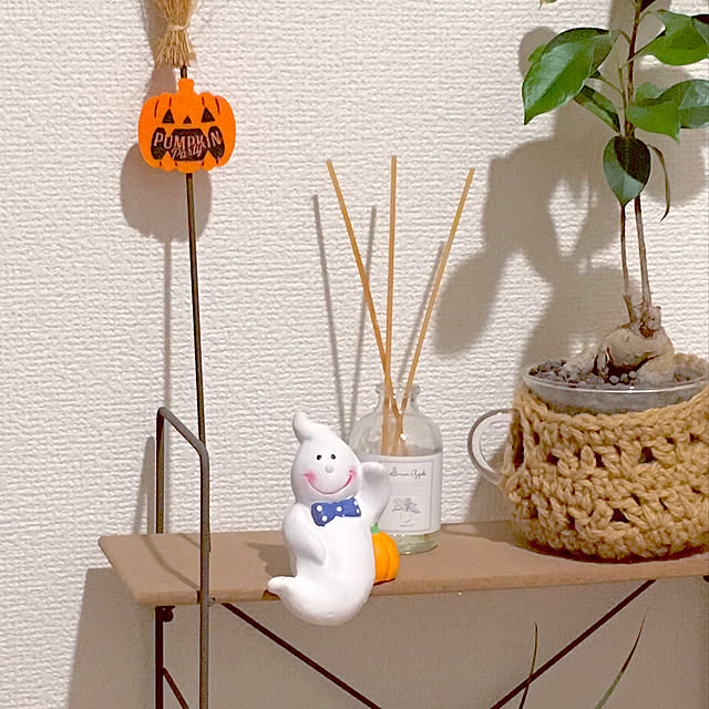 Eriさんの実例写真
