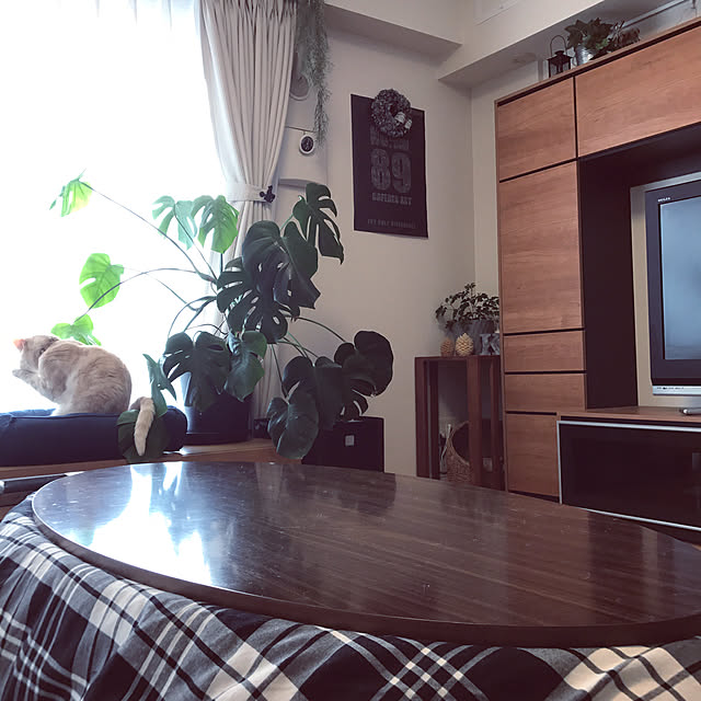 hiyupan88さんの実例写真