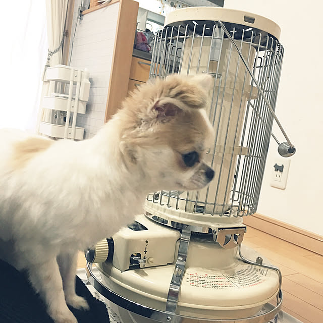 haritakaさんの実例写真