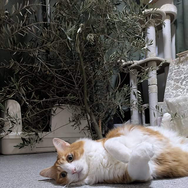 mori_6_12さんの部屋