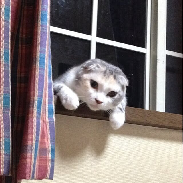 mtkさんの実例写真