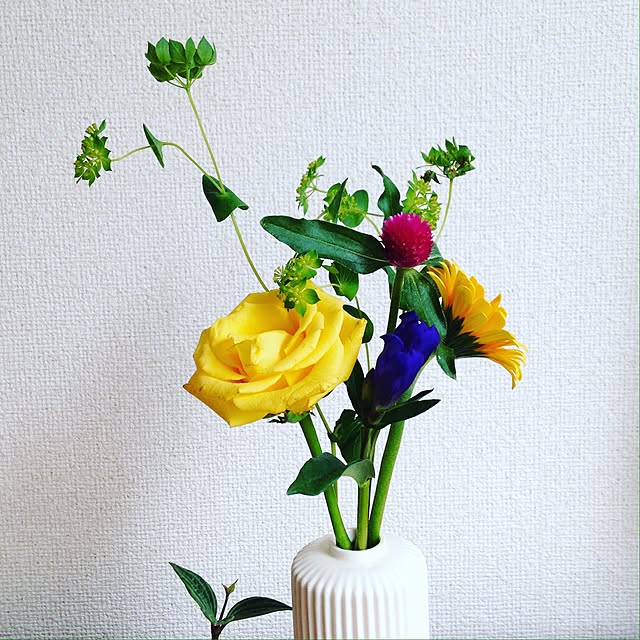 16m2さんの実例写真