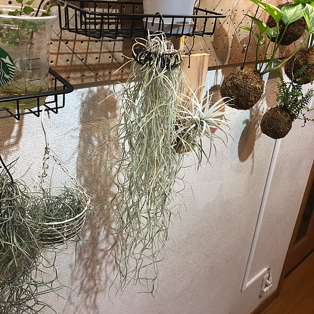 CoffeeHouseさんの実例写真
