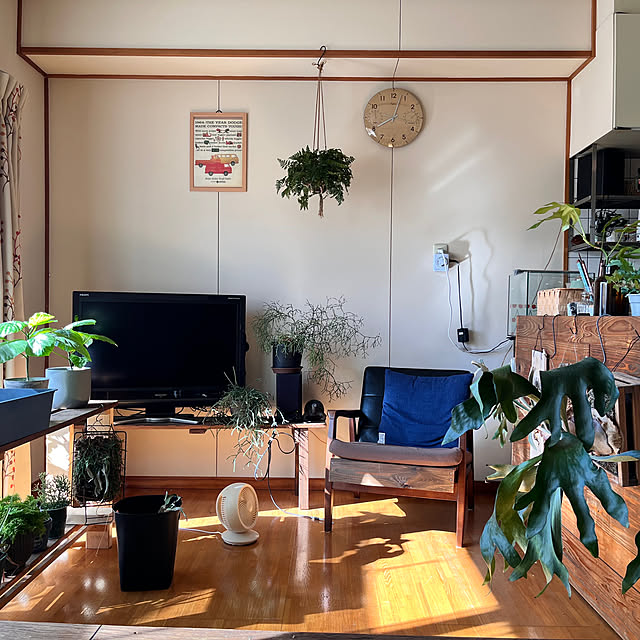 部屋全体のインテリア実例 - 2023-08-27 21:34:55