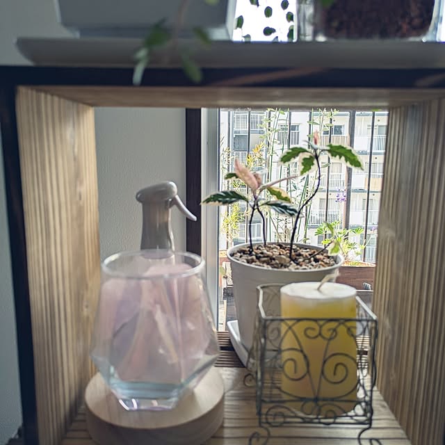 mi-saさんの部屋