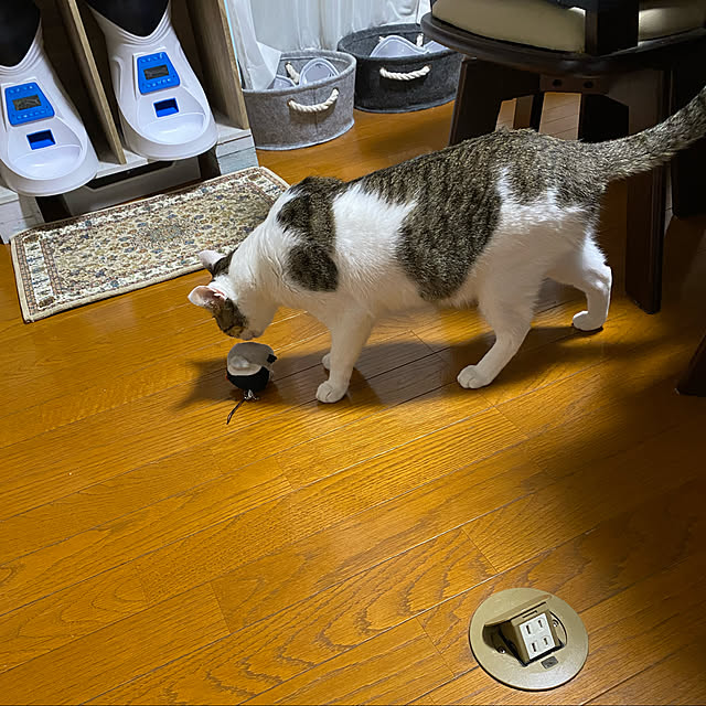 Lufuさんの実例写真