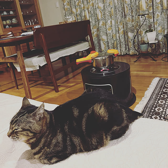 botanさんの実例写真