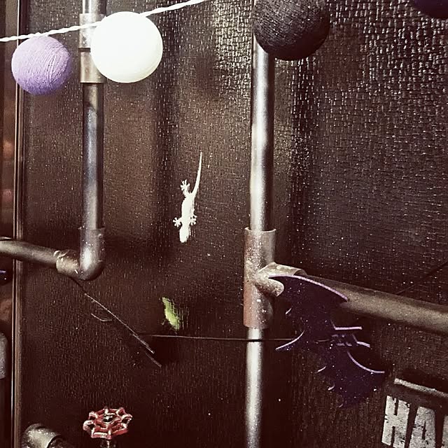 reksさんの実例写真