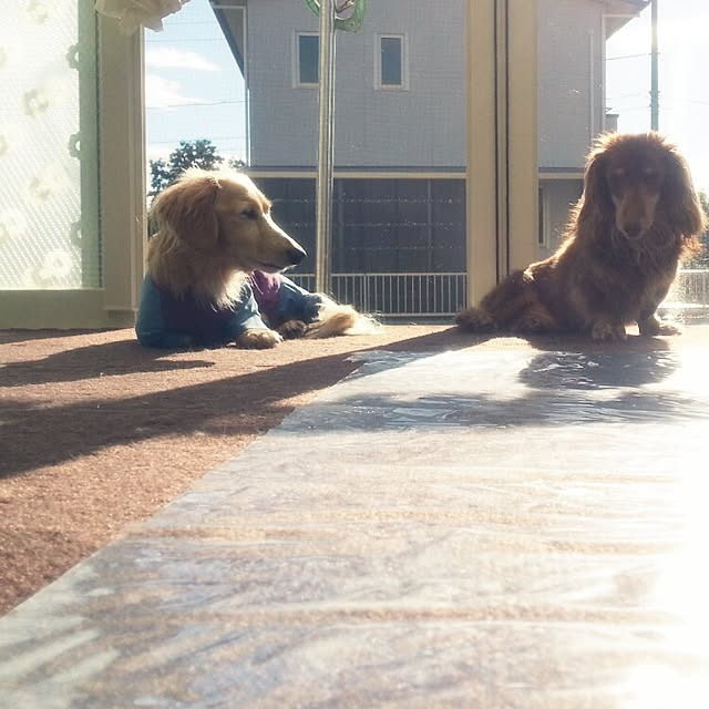pimoさんの実例写真