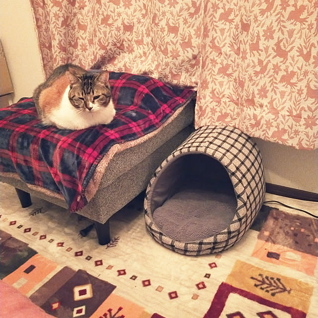 nnk.akさんの実例写真
