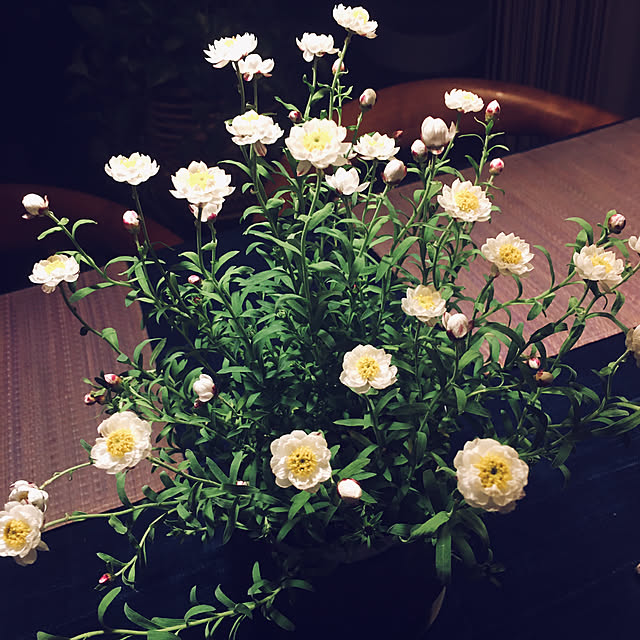 happy-sachiさんの実例写真
