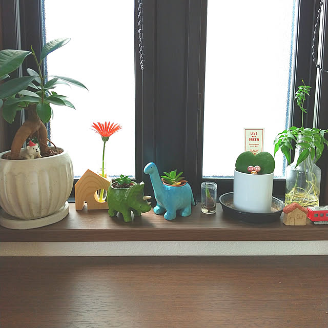 tomo5さんの実例写真