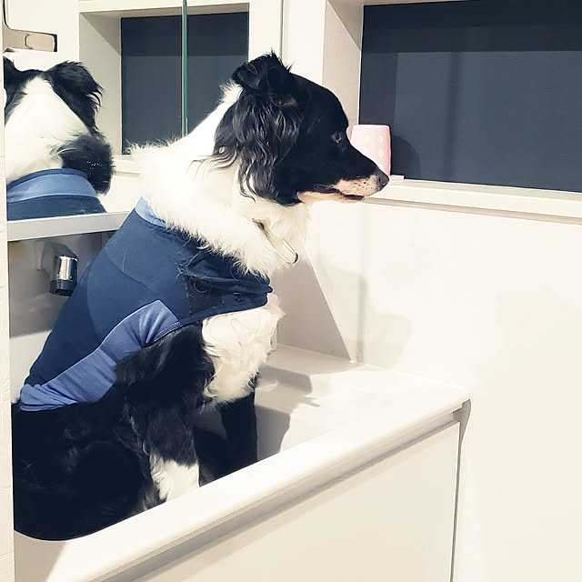 koteriinaさんの実例写真
