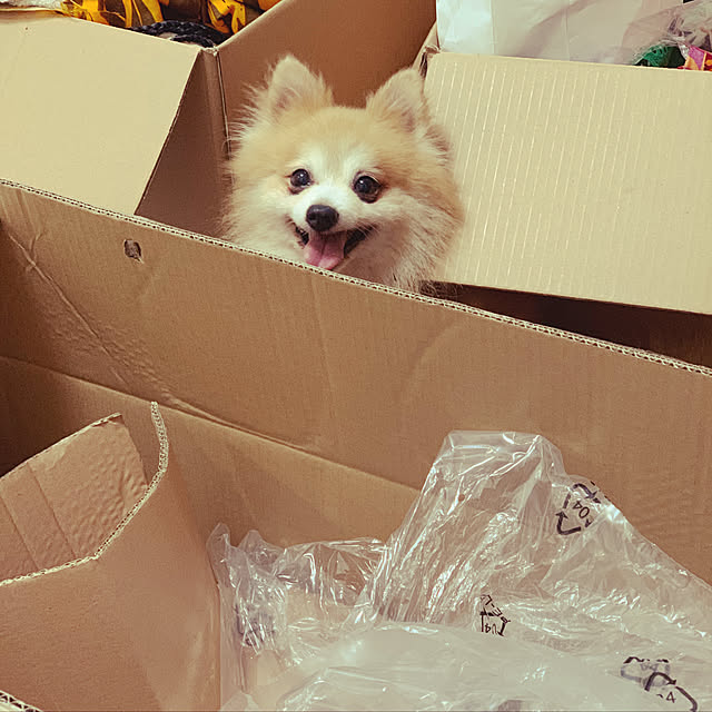 mimiさんの実例写真