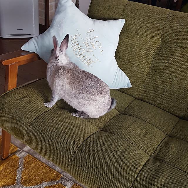 yukoさんの実例写真