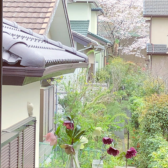 hatsugaさんの実例写真