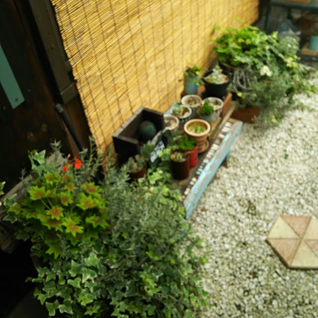 junkokoさんの実例写真