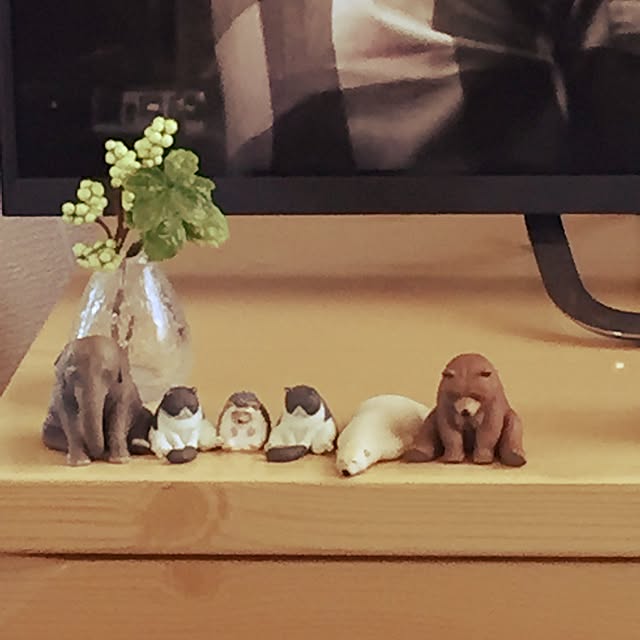 picoさんの実例写真