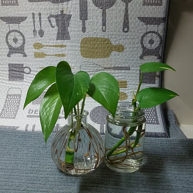 KOHAKUさんの実例写真