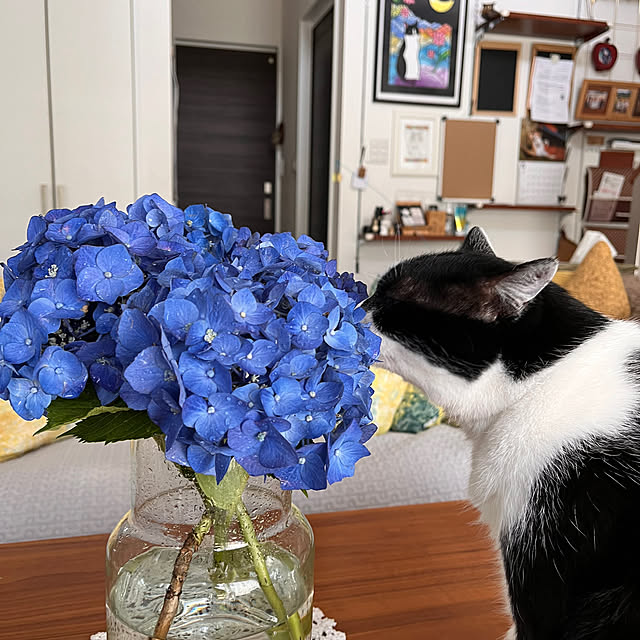 kojimasaさんの部屋