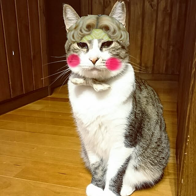 annさんの実例写真