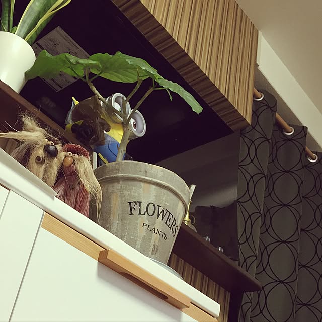 siさんの実例写真