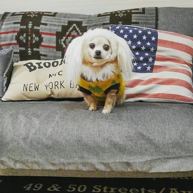 anny_minkさんの実例写真