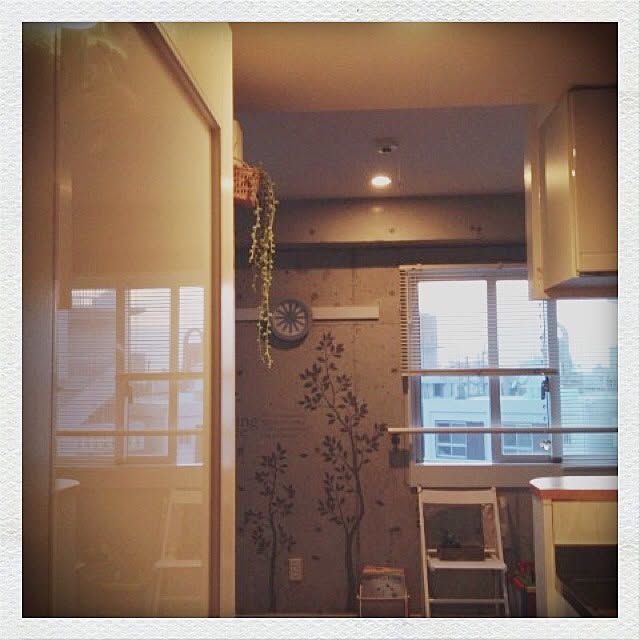 yuuka.さんの実例写真