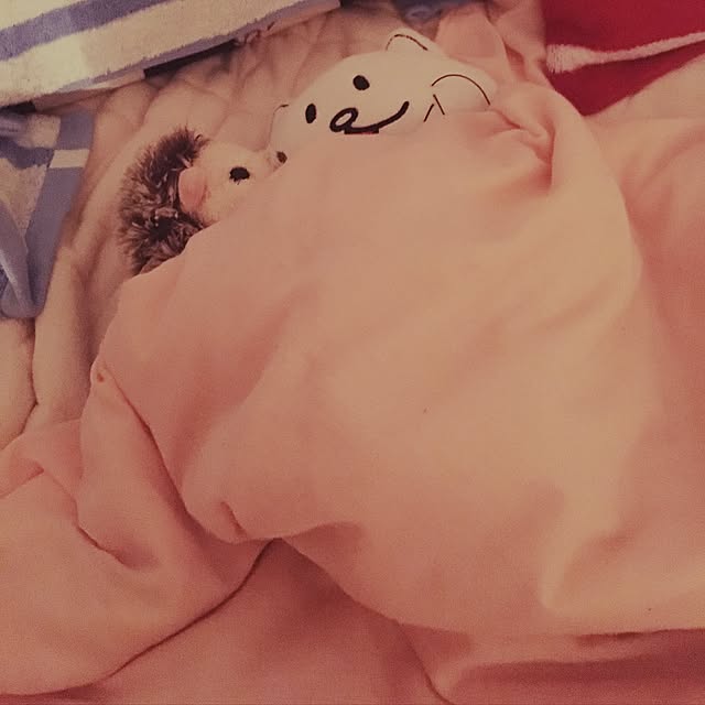 Kanameさんの実例写真