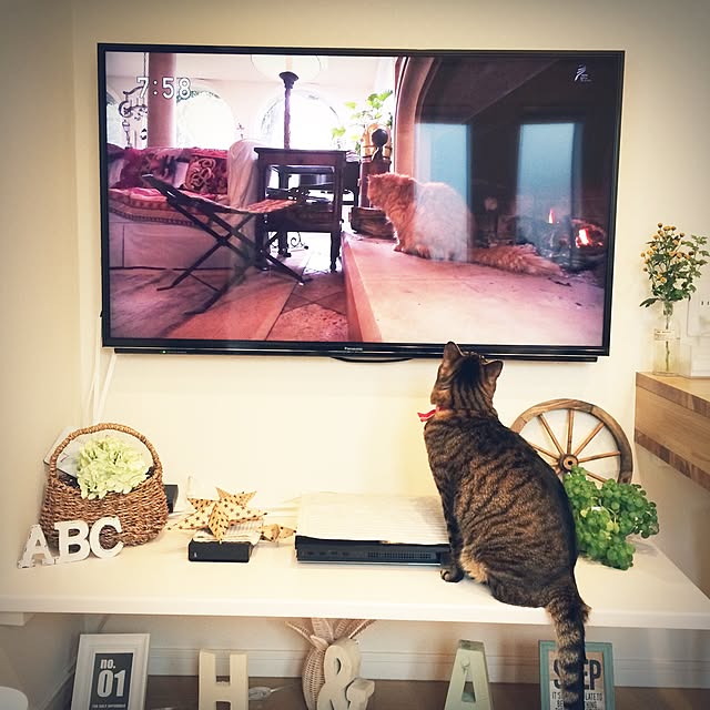 lovecatさんの実例写真