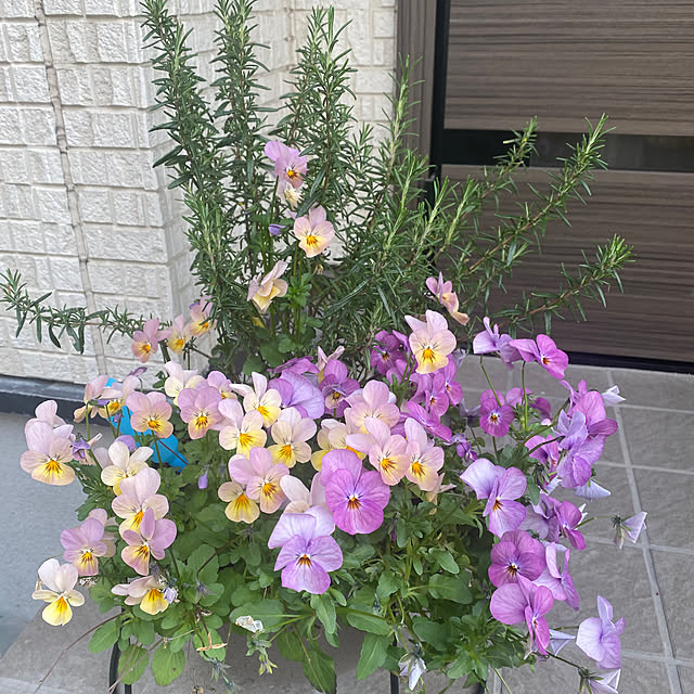 naraさんの実例写真