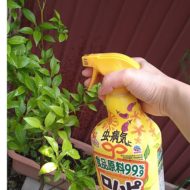ameamekaasanさんの実例写真