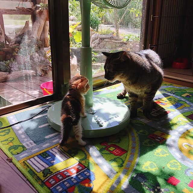 pepeさんの実例写真