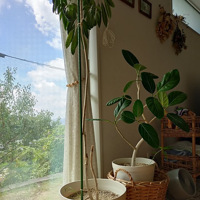 ri-eさんの実例写真