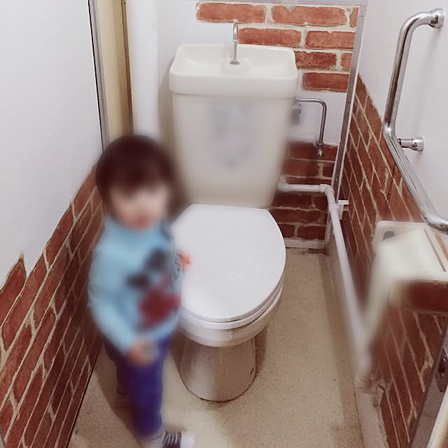 akazukinさんの実例写真