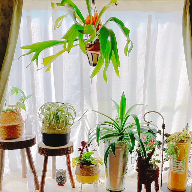 Hanakaさんの部屋