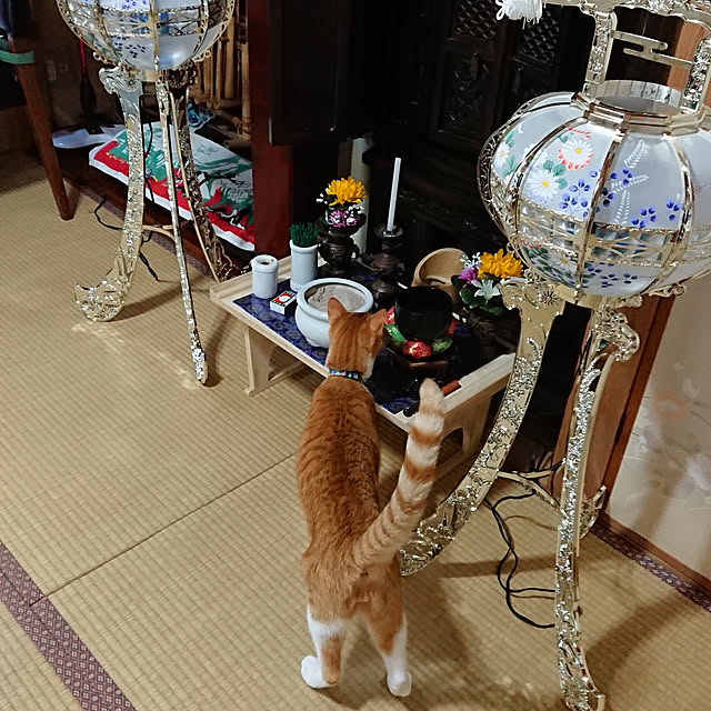 akiさんの実例写真