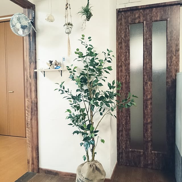 Lilyさんの実例写真