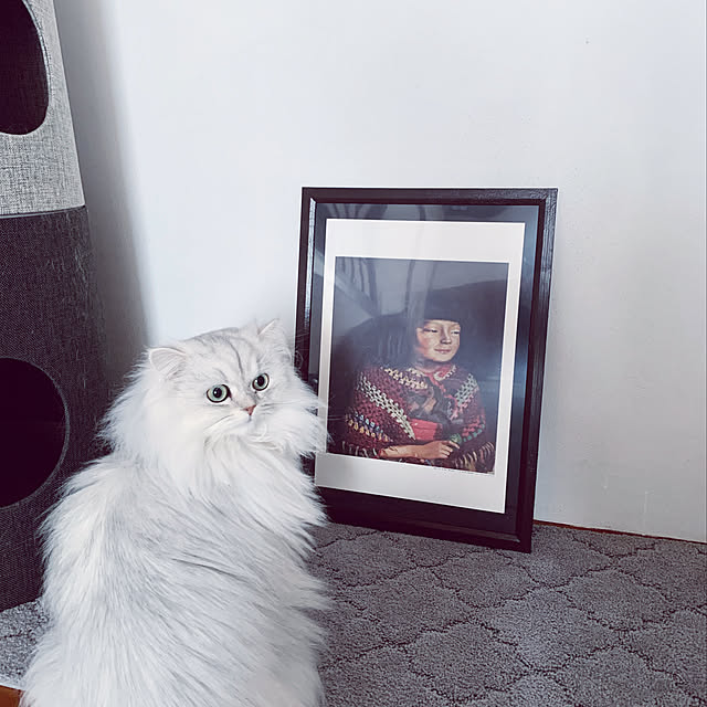 Aliceさんの実例写真