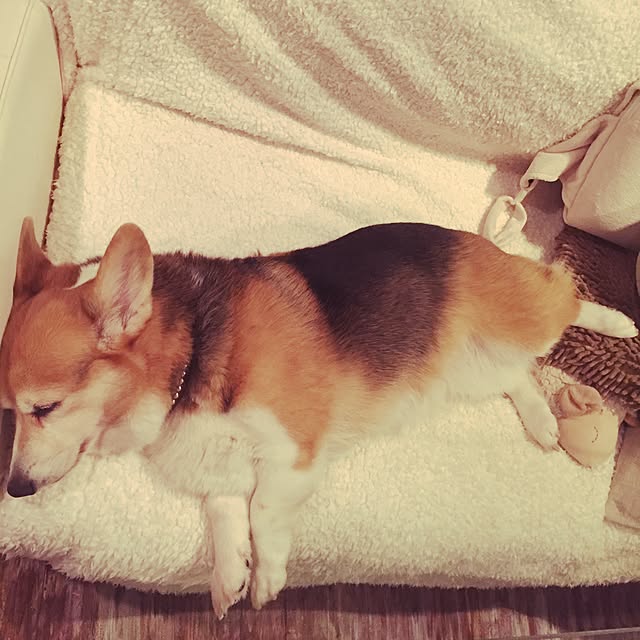 kumiさんの実例写真